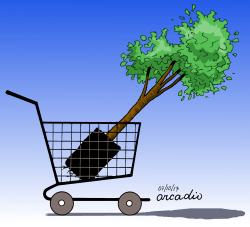 ADOPT A TREE by Arcadio Esquivel