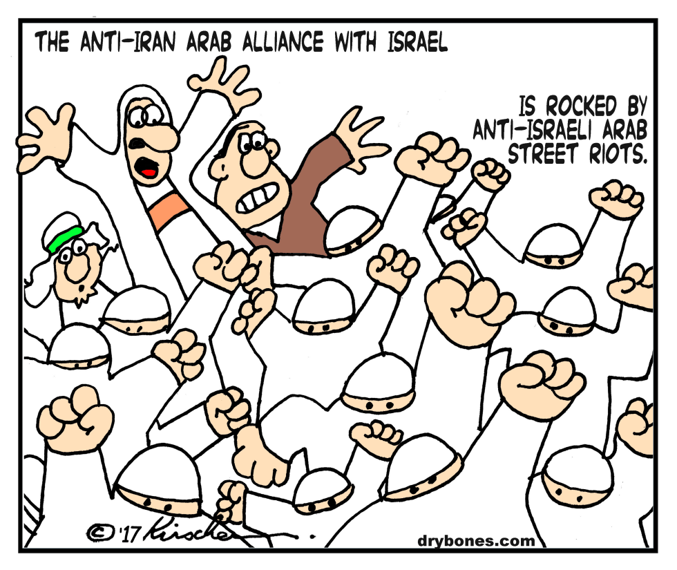  ANTI-ISRAEL RIOTS by Yaakov Kirschen