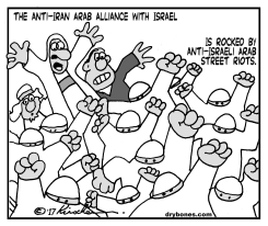 ANTI-ISRAE RIOTS by Yaakov Kirschen