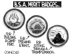 TRUMP MERIT BADGE by John Cole