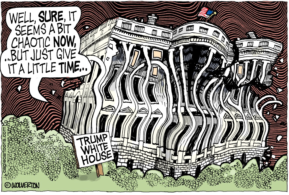  WHITE HOUSE IN CHAOS by Wolverton