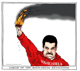 TORCH OF THE BOLIVARIAN REVOLUTION by Joep Bertrams