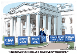 PENCE 2020 SHADOW CAMPAIGN by RJ Matson