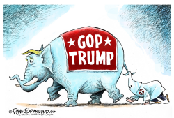 TRUMP AND KLAN FOLLOWERS by Dave Granlund