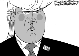 ALT DRUMPH by David Fitzsimmons