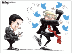 RUBIO TWEETS by Bill Day