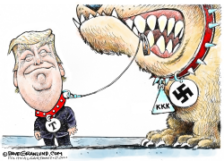 TRUMP AND HATE GROUPS by Dave Granlund