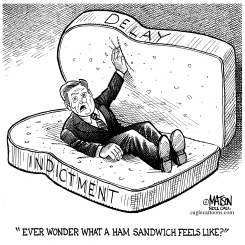 TOM DELAY HAM SANDWICH by RJ Matson