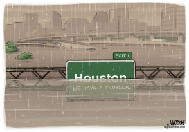 HOUSTON WE HAVE A PROBLEM by RJ Matson