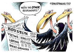 HOUSTON FLOOD VULTURES by Dave Granlund