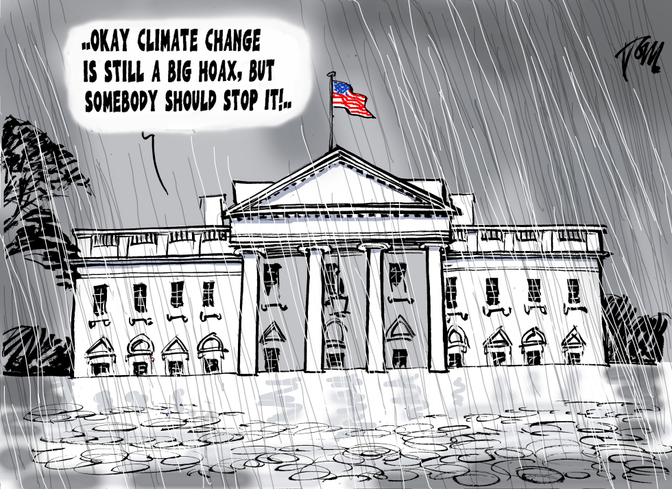  CLIMATE CHANGE HOAX by Tom Janssen