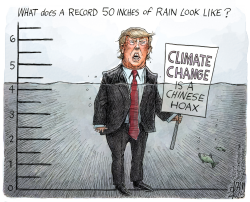 HURRICANE HARVEY by Adam Zyglis