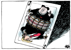 TRUMPCARD by Jos Collignon