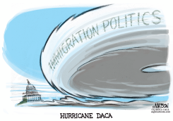 HURRICANE DACA by RJ Matson