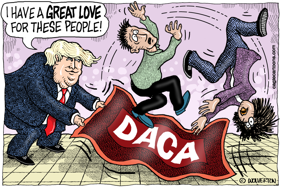  DACA DELETION by Wolverton