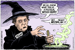 DELAY WITCH HUNT   by Wolverton