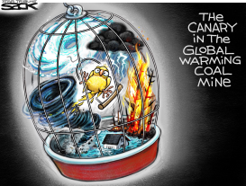 CANARY SHAFTED by Steve Sack