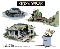 STORM DEBRIS by John Cole