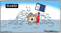 HILLARY'S BOOK by Bob Englehart