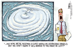 HURRICANE DONALD by Rick McKee