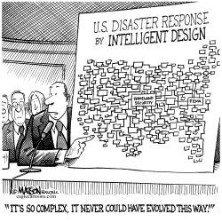 INTELLIGENT DESIGN DISASTER RESPONSE by RJ Matson