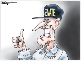 SCOTT'S NEW CAP FLORIDA by Bill Day