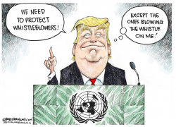 TRUMP AT UN by Dave Granlund