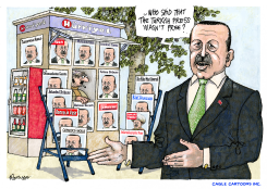 ERDOGAN by Robert Rousso