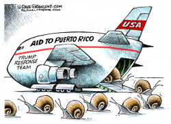 PUERTO RICO AID SLOW by Dave Granlund