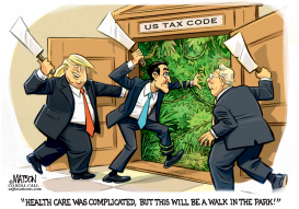 REPUBLICANS SAY TAX REFORM WILL BE EASIER by RJ Matson