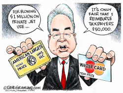 TOM PRICE AND PRIVATE JETS by Dave Granlund