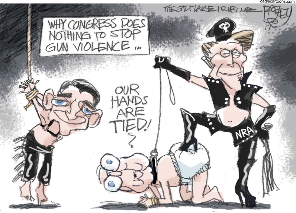  CONGRESS AND NRA by Pat Bagley