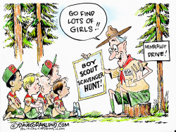 BOY SCOUTS AND GIRL MEMBERS by Dave Granlund