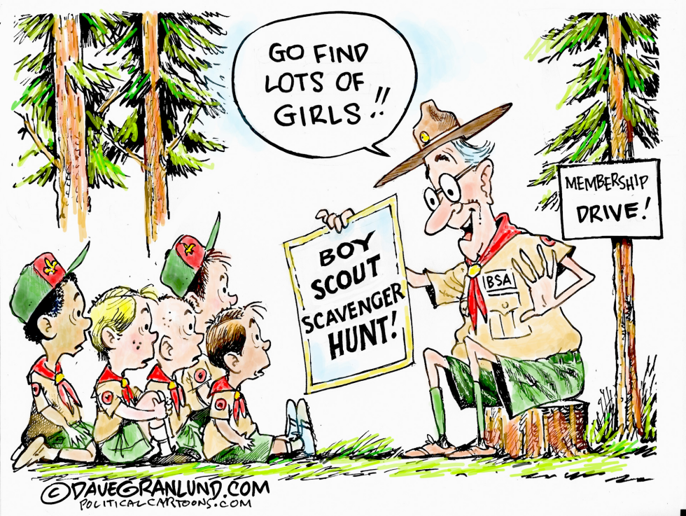  BOY SCOUTS AND GIRL MEMBERS by Dave Granlund