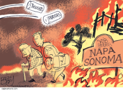 CALIFORNIA FIRES by Pat Bagley