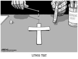 LITMUS TEST by RJ Matson