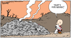 SANTA ROSA FIRE by Bob Englehart