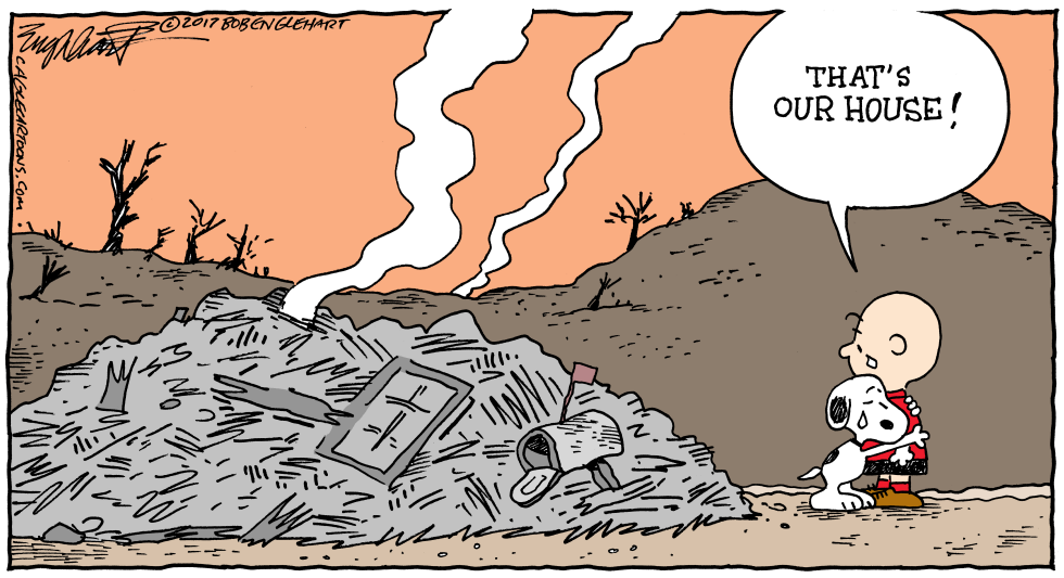  SANTA ROSA FIRE by Bob Englehart