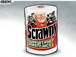 PUERTO RICO PAPER by Steve Sack