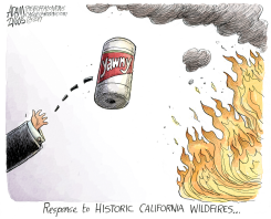 CA WILDFIRES by Adam Zyglis