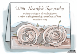 GOLD STAR SYMPATHY CARD by RJ Matson