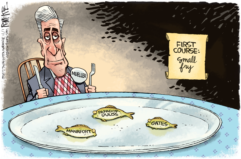  MUELLER SMALL FRY by Rick McKee