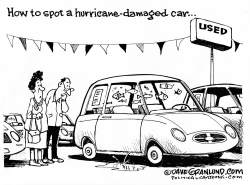 HURRICANE- DAMAGED CARS by Dave Granlund