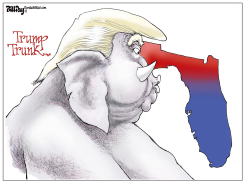 FLORIDA TRUMP TRUNK by Bill Day