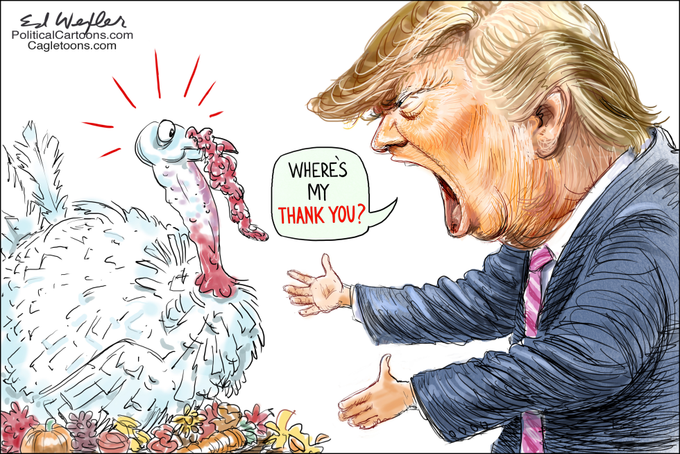  WHERE'S MY THANK YOU by Ed Wexler