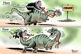 MUGABE THEN AND NOW by Paresh Nath