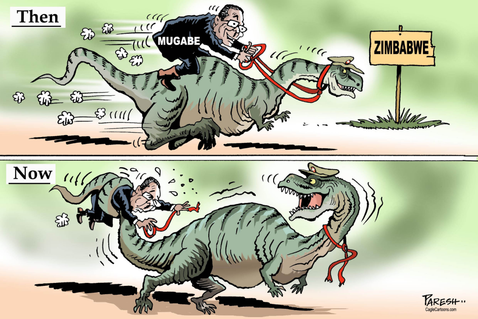  MUGABE THEN AND NOW by Paresh Nath