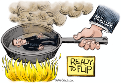 MICHAEL FLYNN READY TO FLIP by Daryl Cagle