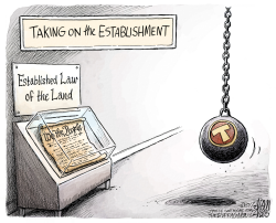 RULE OF LAW by Adam Zyglis