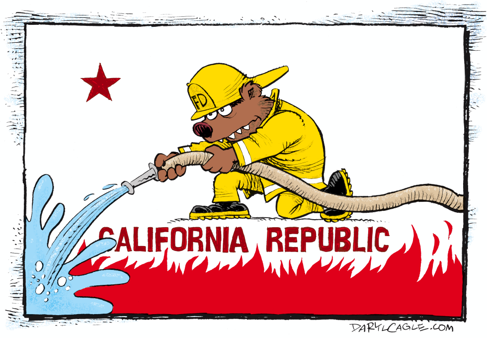  CALIFORNIA FIREFIGHTER FLAG by Daryl Cagle